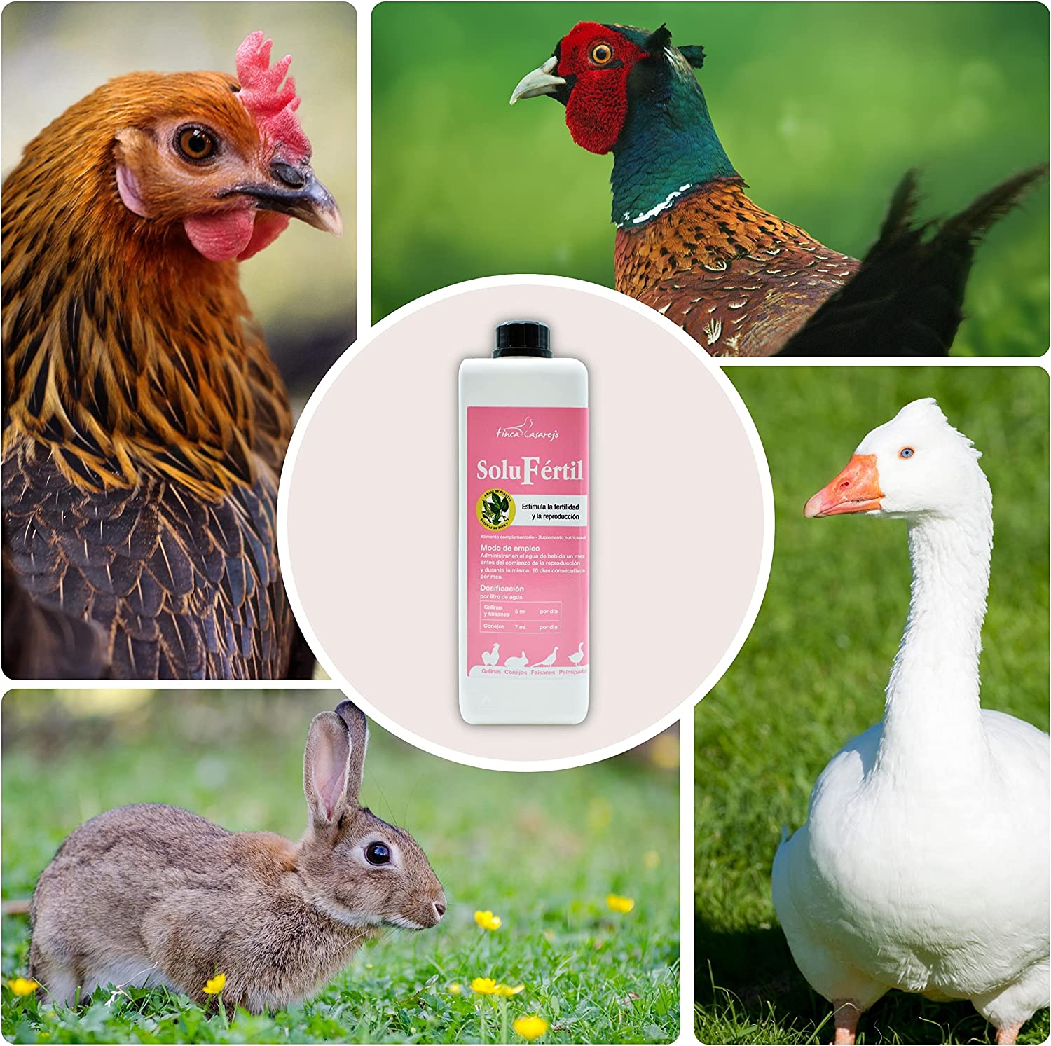 Finca Casarejo Solufertil - Estimulação natural da fertilidade para aves e coelhos
