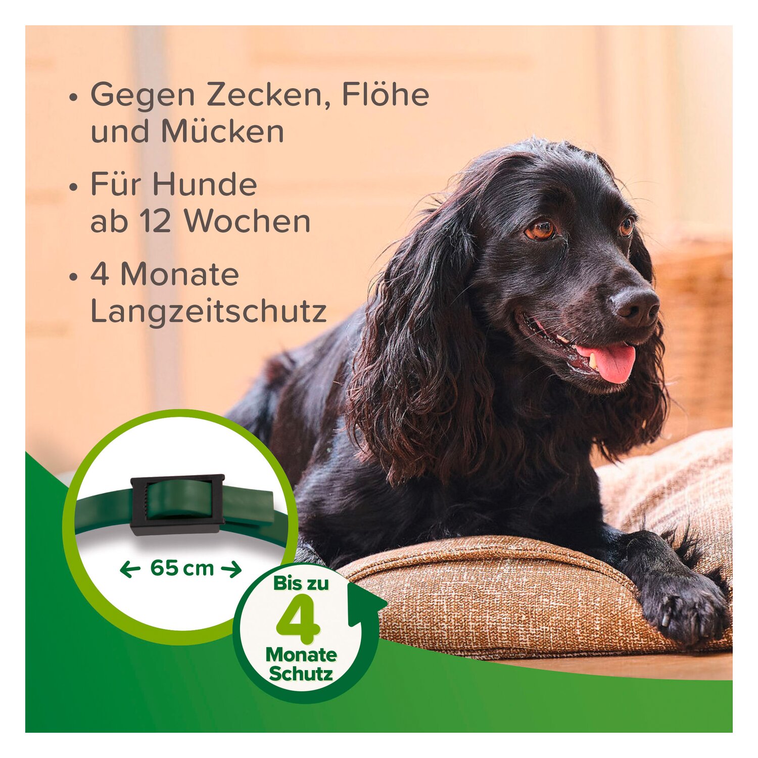 beaphar Floh- und Zeckenhalsband  - 65 cm