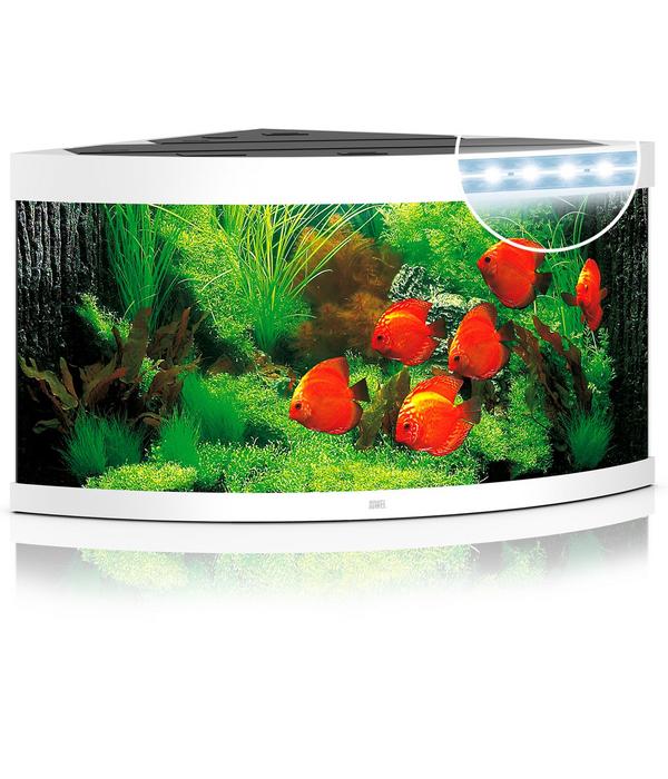 JUWEL® AQUARIUM Trigon 350 LED