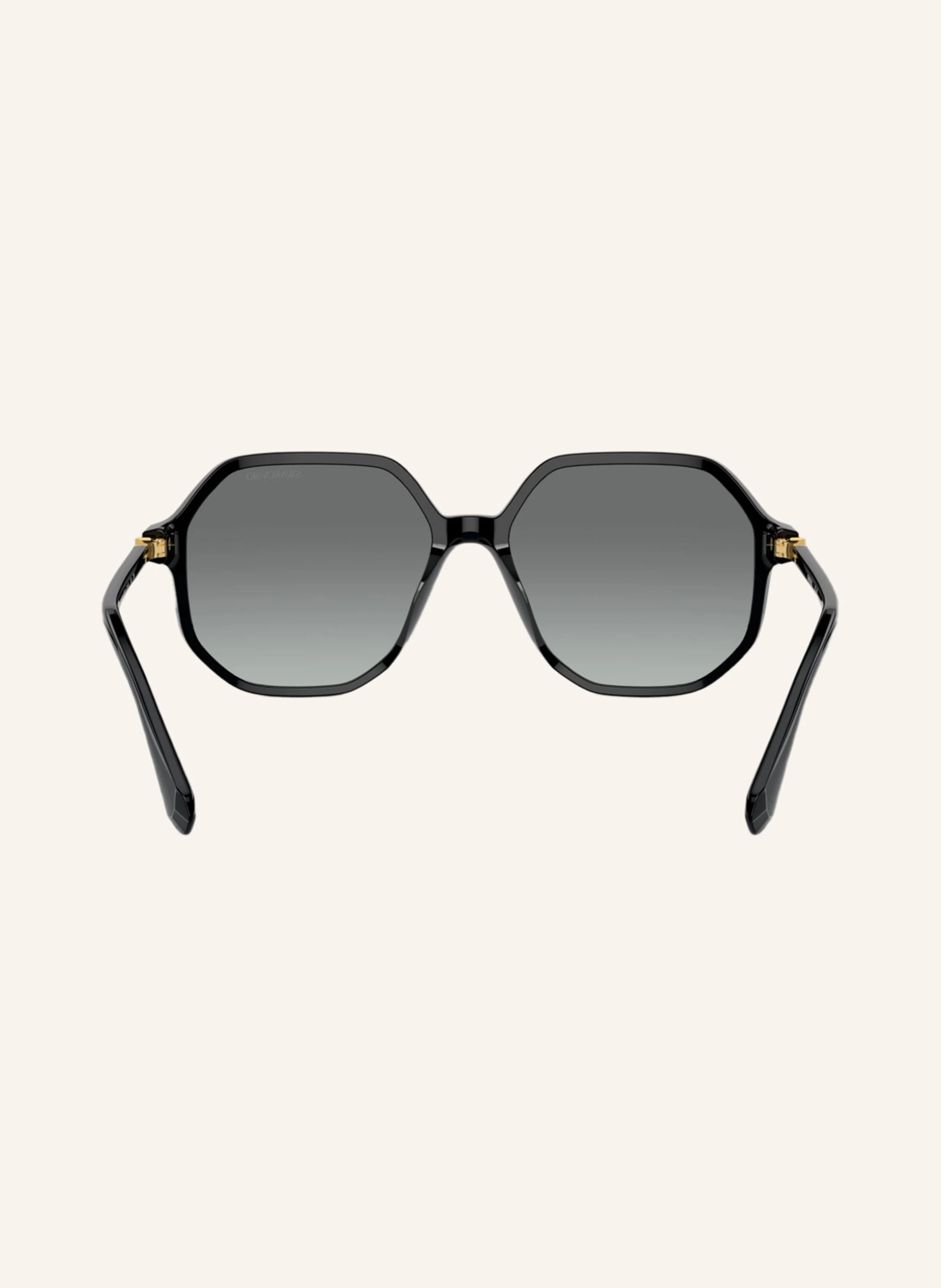 SWAROVSKI Sonnenbrille SK6003
