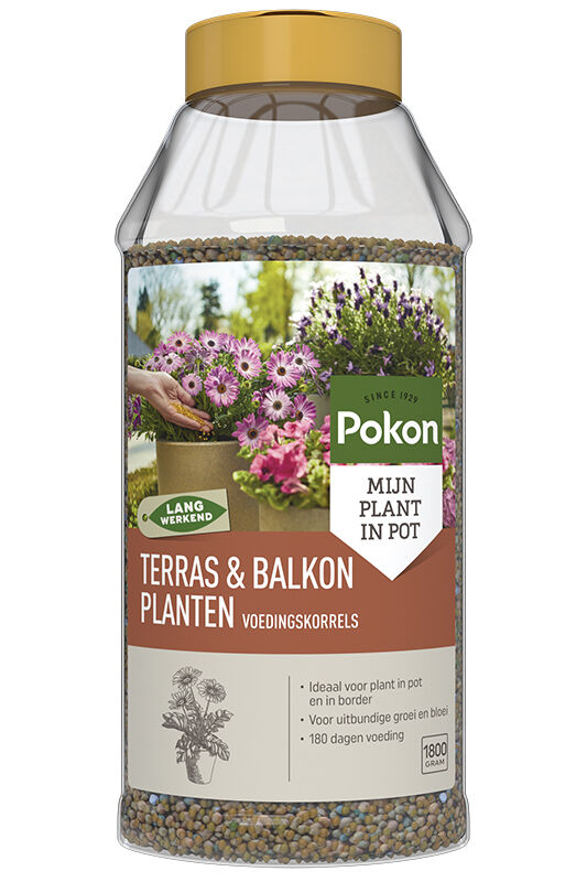 Pokon Langwerkende voedingskorrels - Siertuinmeststof - 13 m2 - 1800 Gram
