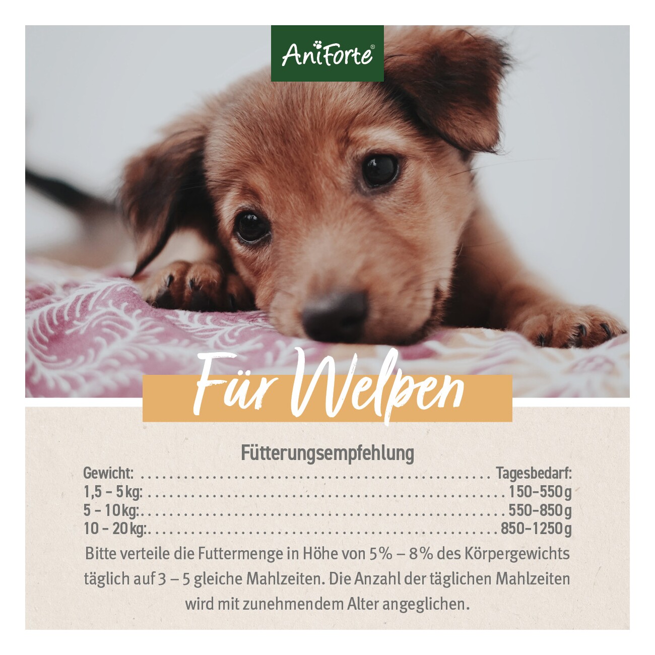 AniForte Nassfutter Junior Menue Huhn 6 x 400g