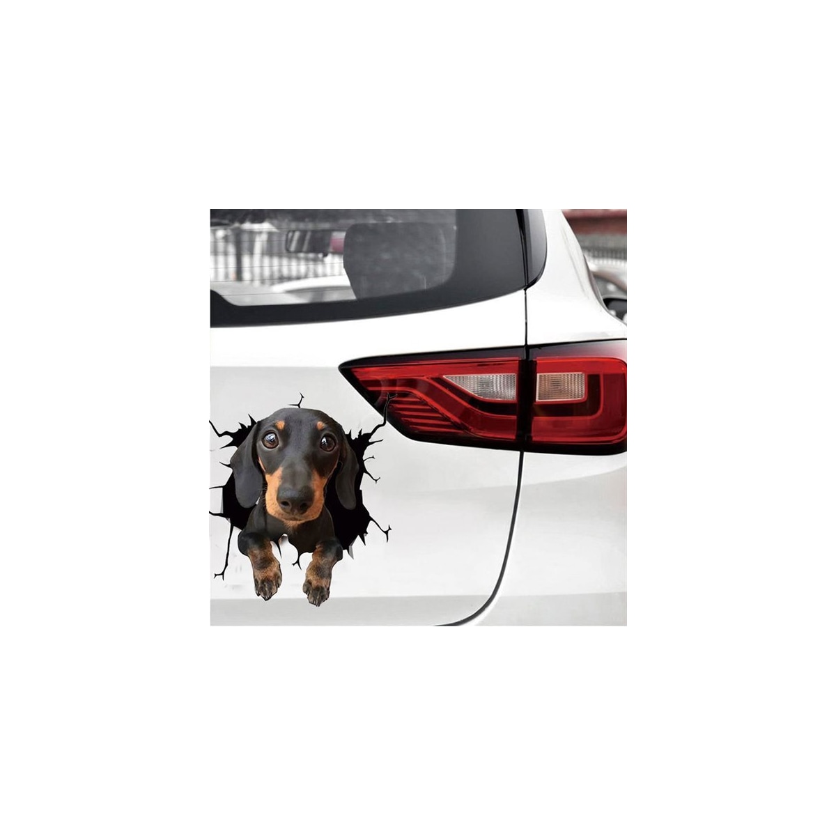 Bildekal - Hund, Morsomt Klistremerke til Bilvindu, Selvklebende PVC
