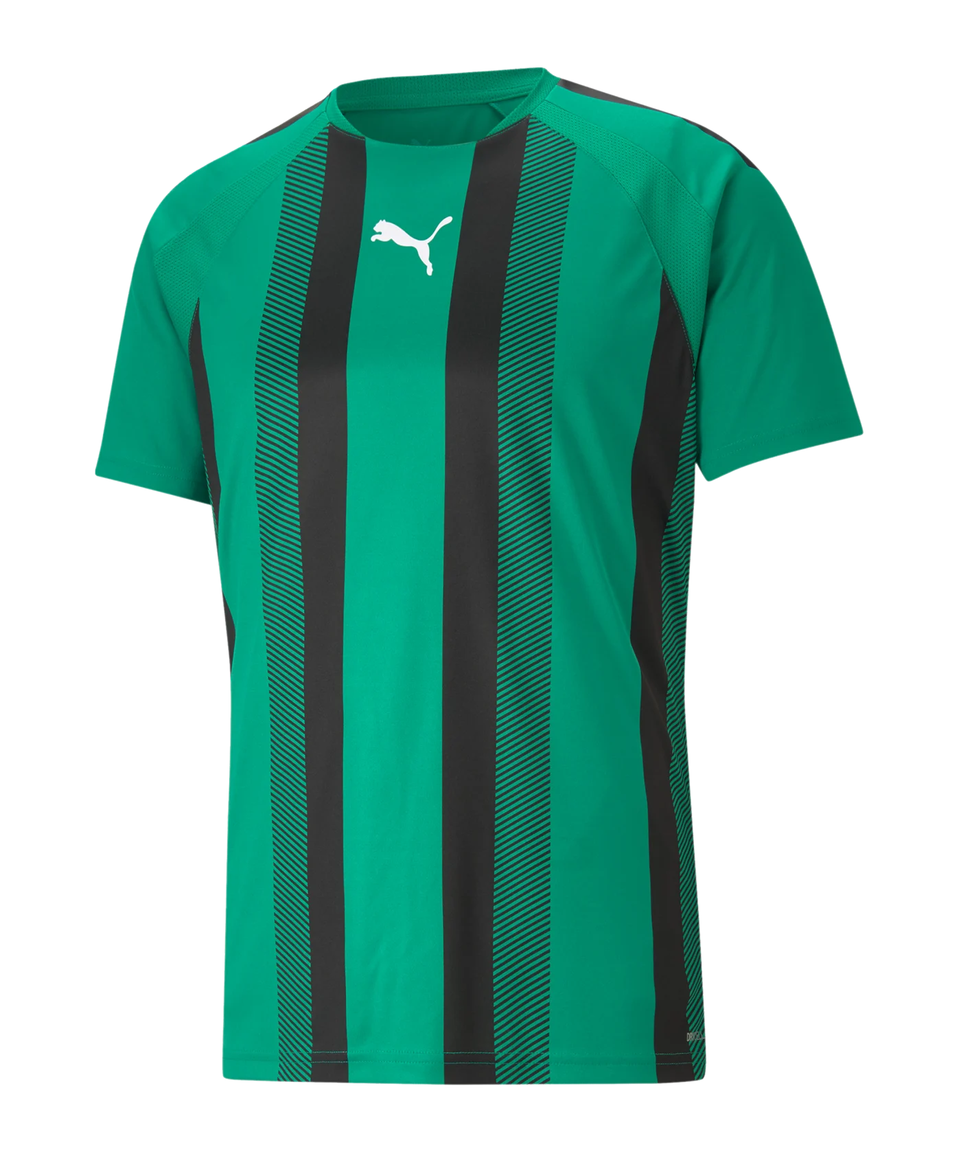 PUMA teamLIGA Striped Trikot Grün Schwarz F05