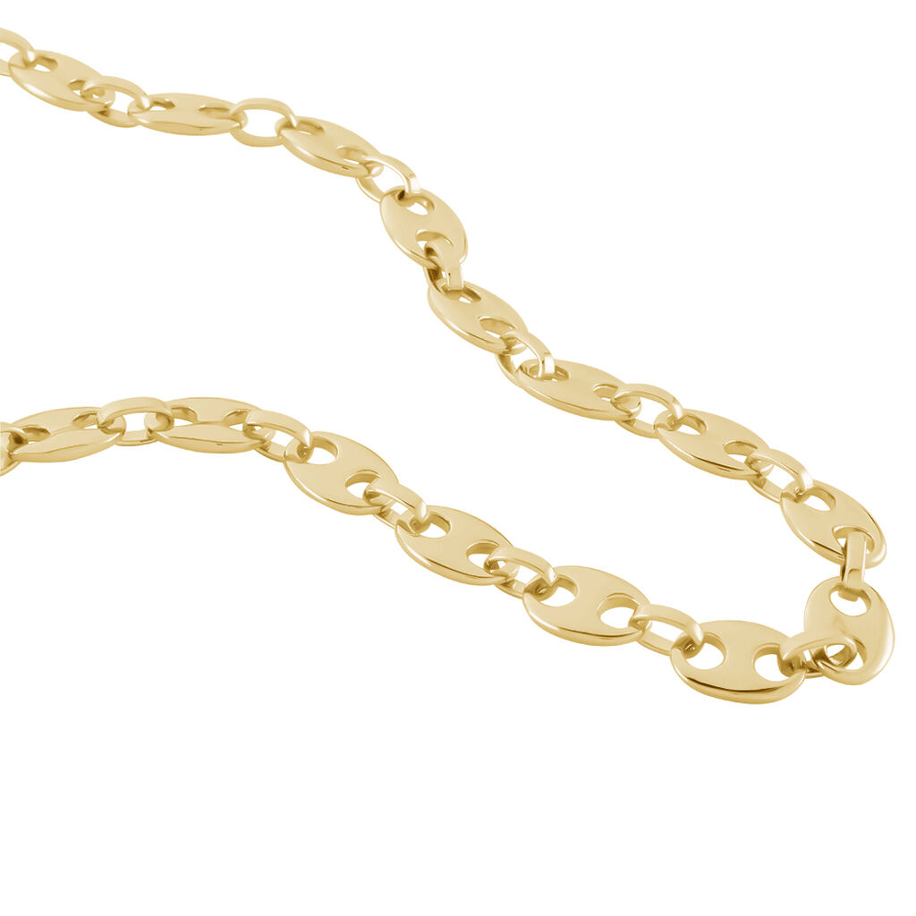 Collier William Plaqué Or Jaune