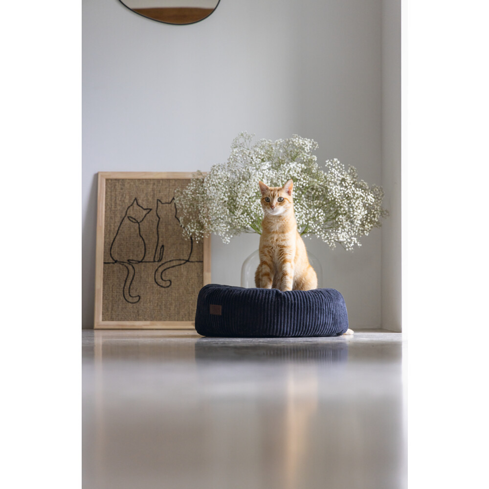 Designed by Lotte Ligmand Ribbed Kat Antraciet 50 x 50 x 17 cm