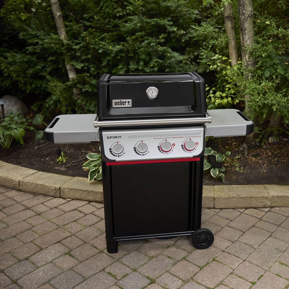 Spirit E-425 Gassgrill