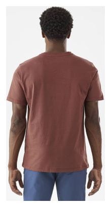 T-Shirt Millet Chamonix Trilogy Marron Homme