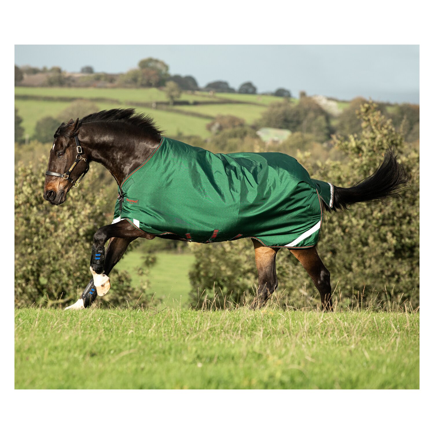 HORSEWARE Outdoordecke RAMBO Original Lite 100 g - green/red