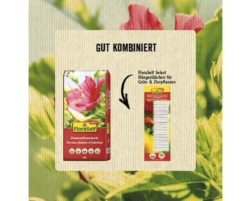 FloraSelf Select langdurige meststofsticks voor groene planten en sierplanten, 30 stuks