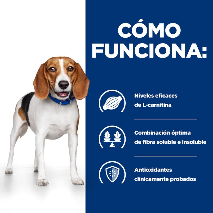 A ração Hill's Prescription Diet Weight Loss para cães é uma opção para redução de peso.