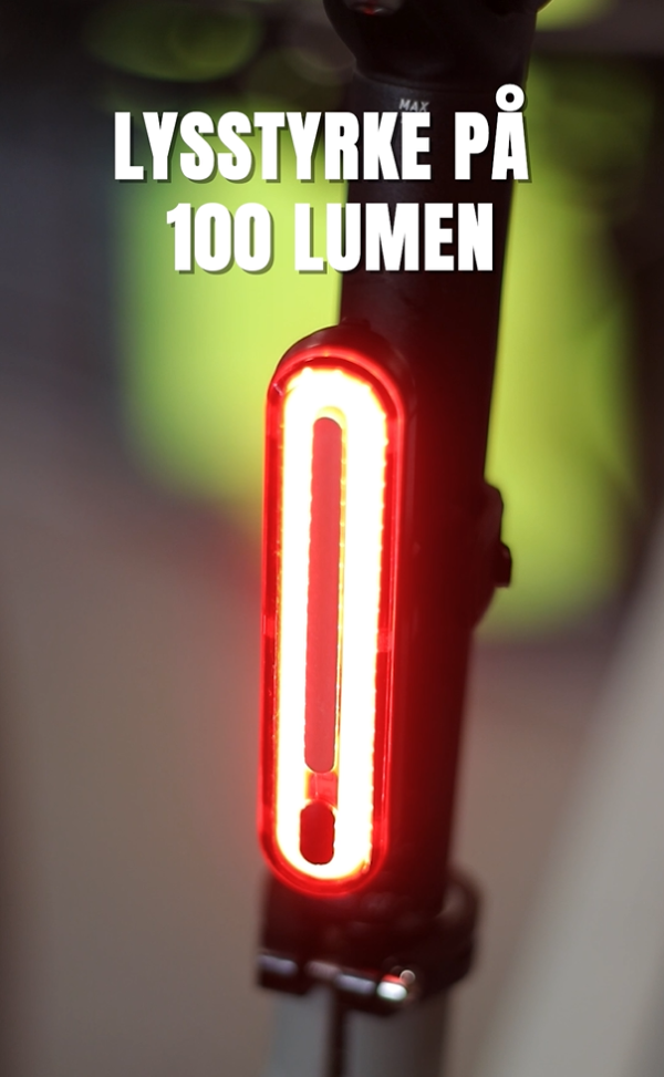 Abus Gemini Genopladelig Baglygte, 100 Lumen