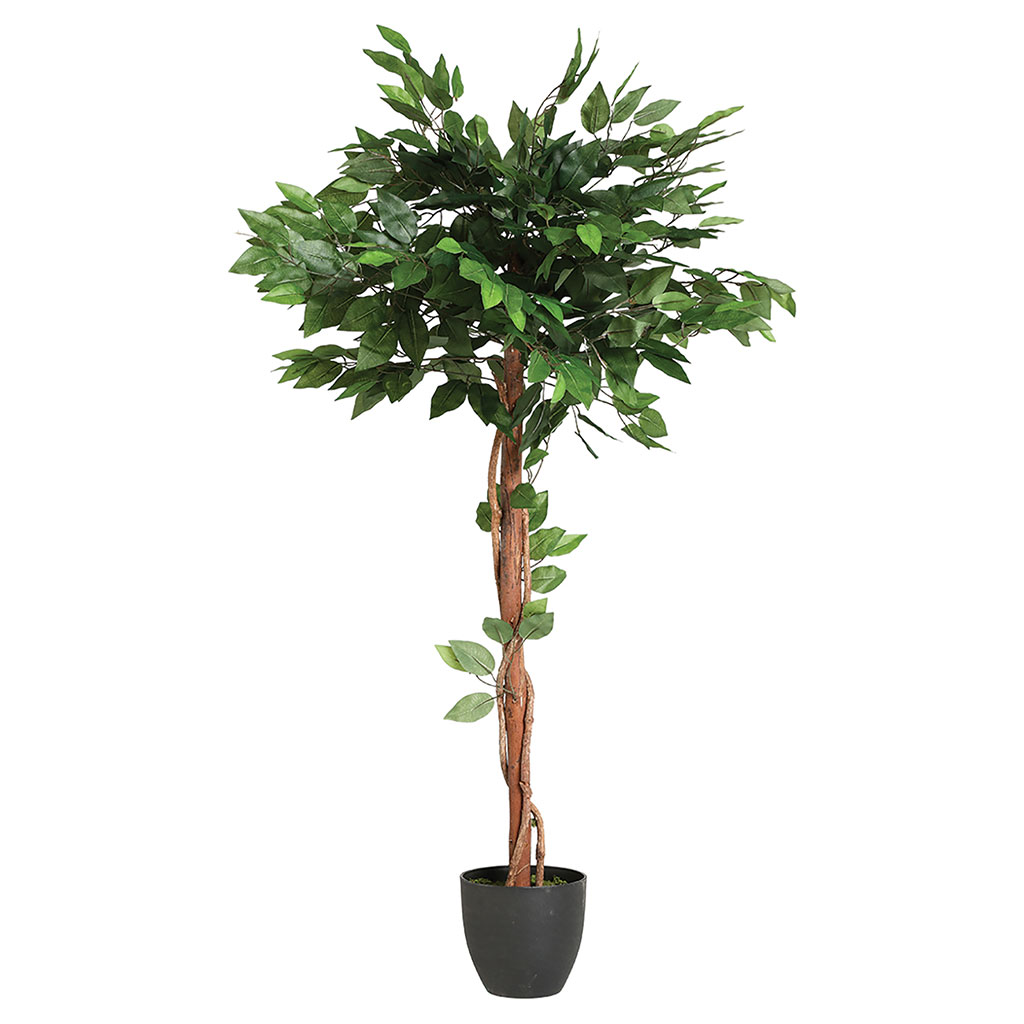 Plante artificielle ficus H 120cm