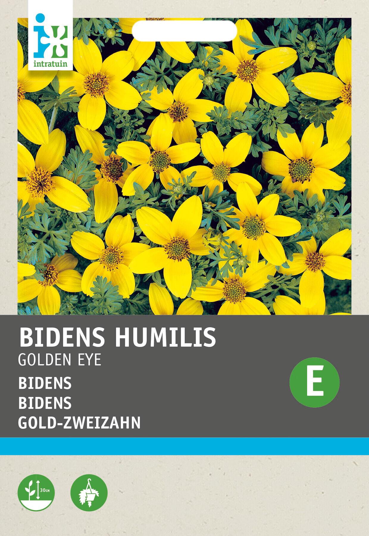 Intratuin bloemenzaad Tandzaad (Bidens humilis 'Golden Eye')