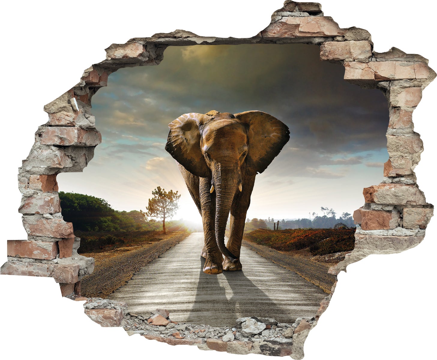 3D muurdoorbraak zelfklevende sticker olifant WS0959_60x50 cm