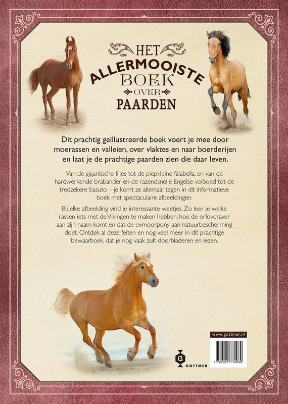 Het allermooiste boek over paarden