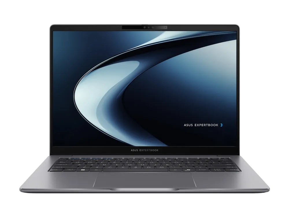 ASUS ExpertBook P3 PM3606CKA-MB0272XW - SSD NVMe - tåget grå