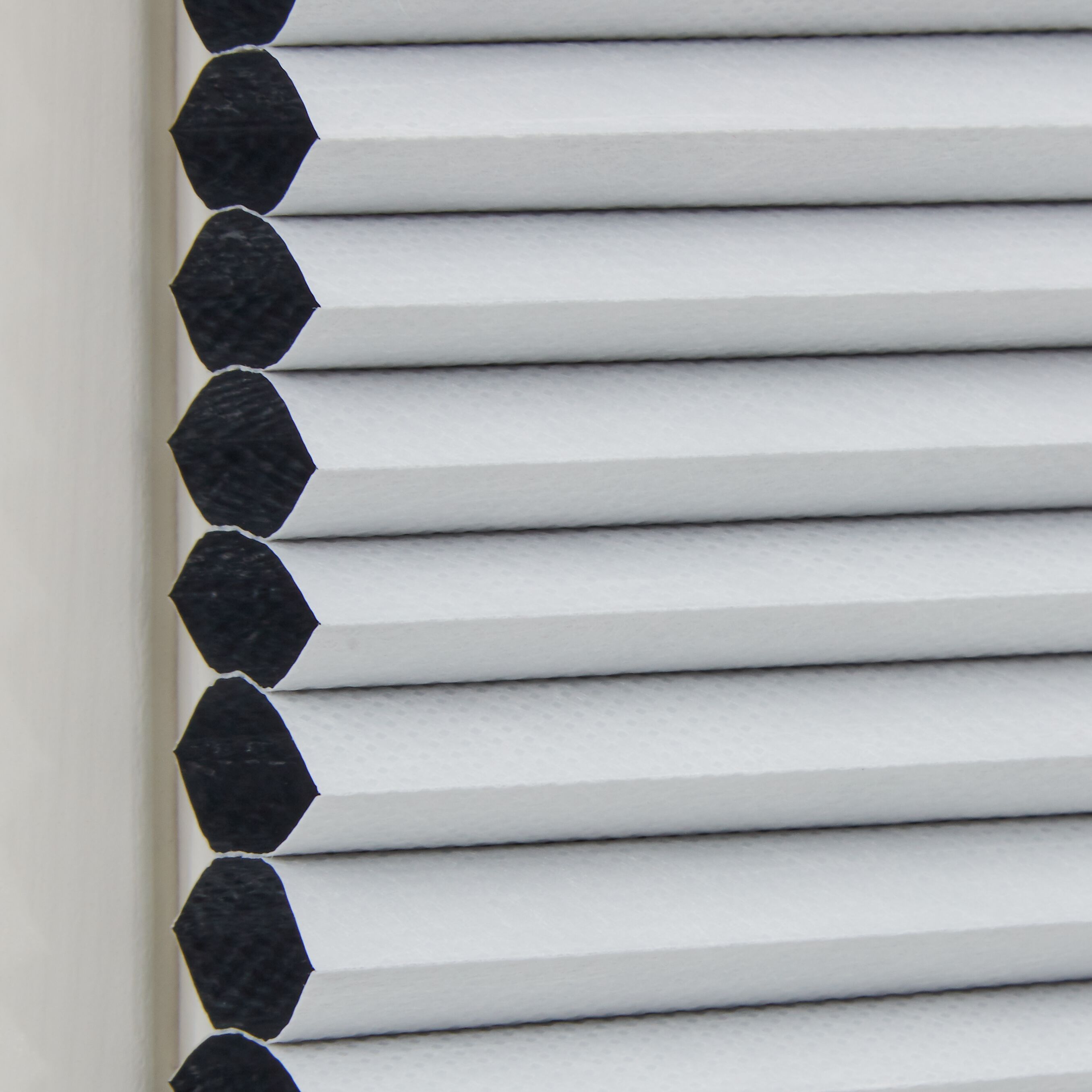 BLACKOUT Wabenplissee - Weiss / B: 50.0 cm x H: 140.0 cm