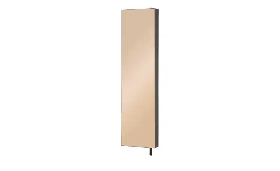 Schuh- und Mehrzweckschrank Santarem Schwarz, bronzefarben Spiegelfront (Bronze)