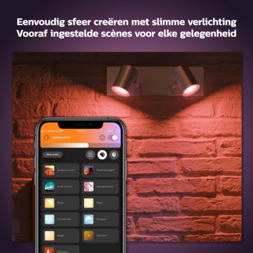 Philips Hue opbouwspot Argenta aluminium