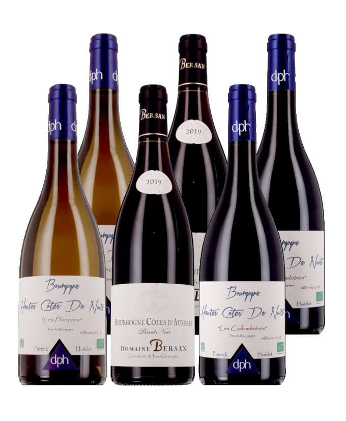 Bourgognes Best-sellers 100% Bio - 6 bouteilles