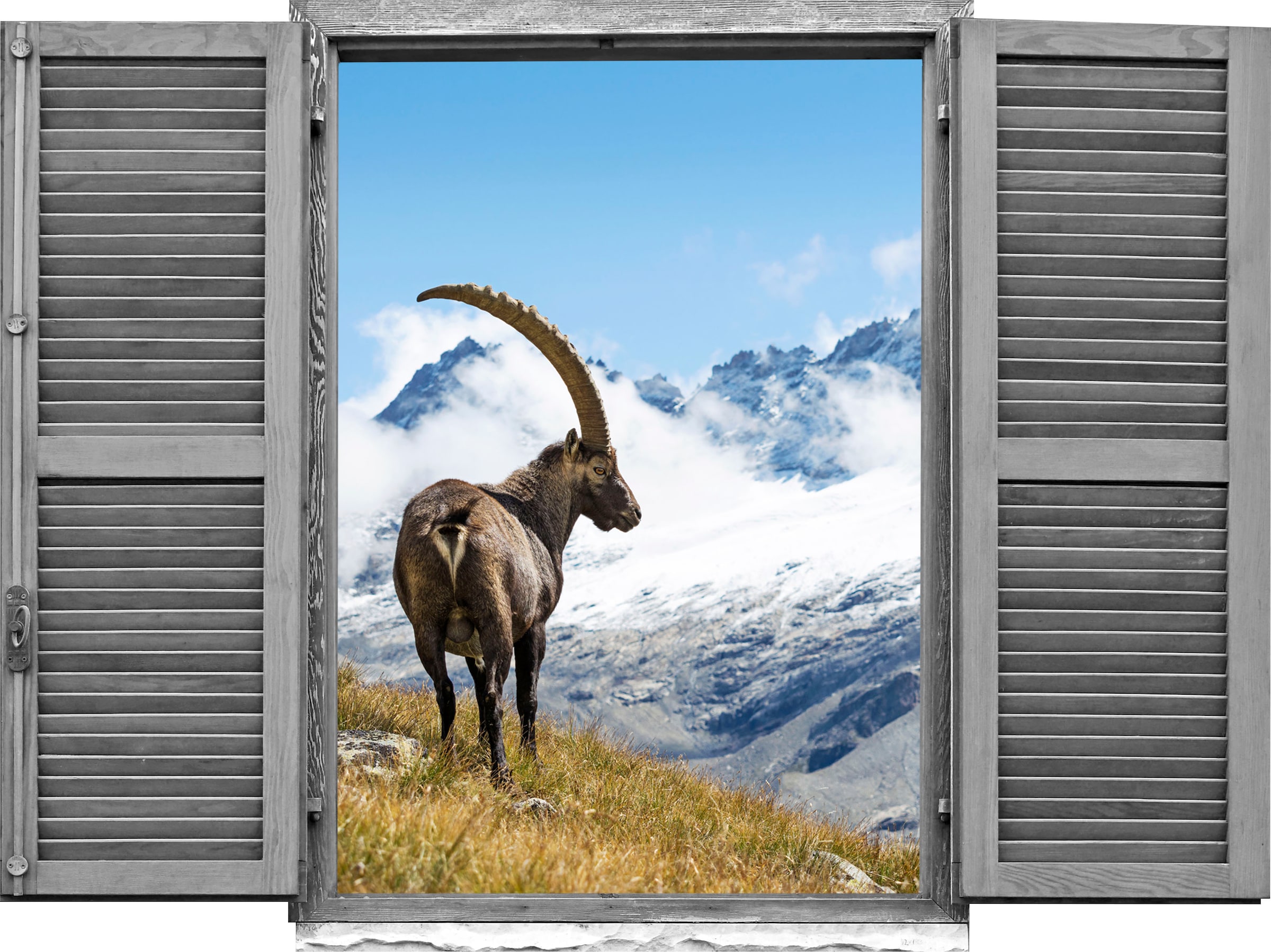 queence Wandtattoo »Steinbock« Wandsticker, Wandbild, selbstklebend, 3D, Fenster