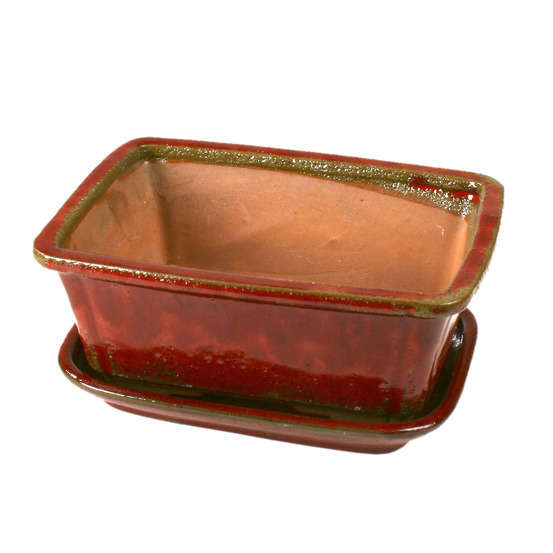 Poterie bonsaï + soucoupe, en terre cuite émaillée L. 21 x l. 16 cm