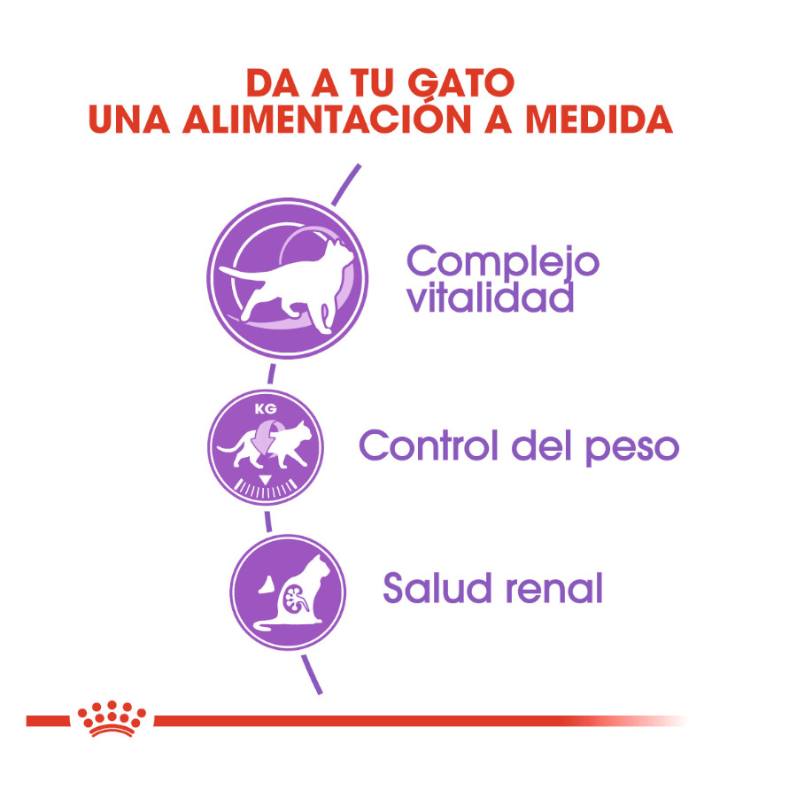 Ração esterilizada Royal Canin Adult 7+ para gatos