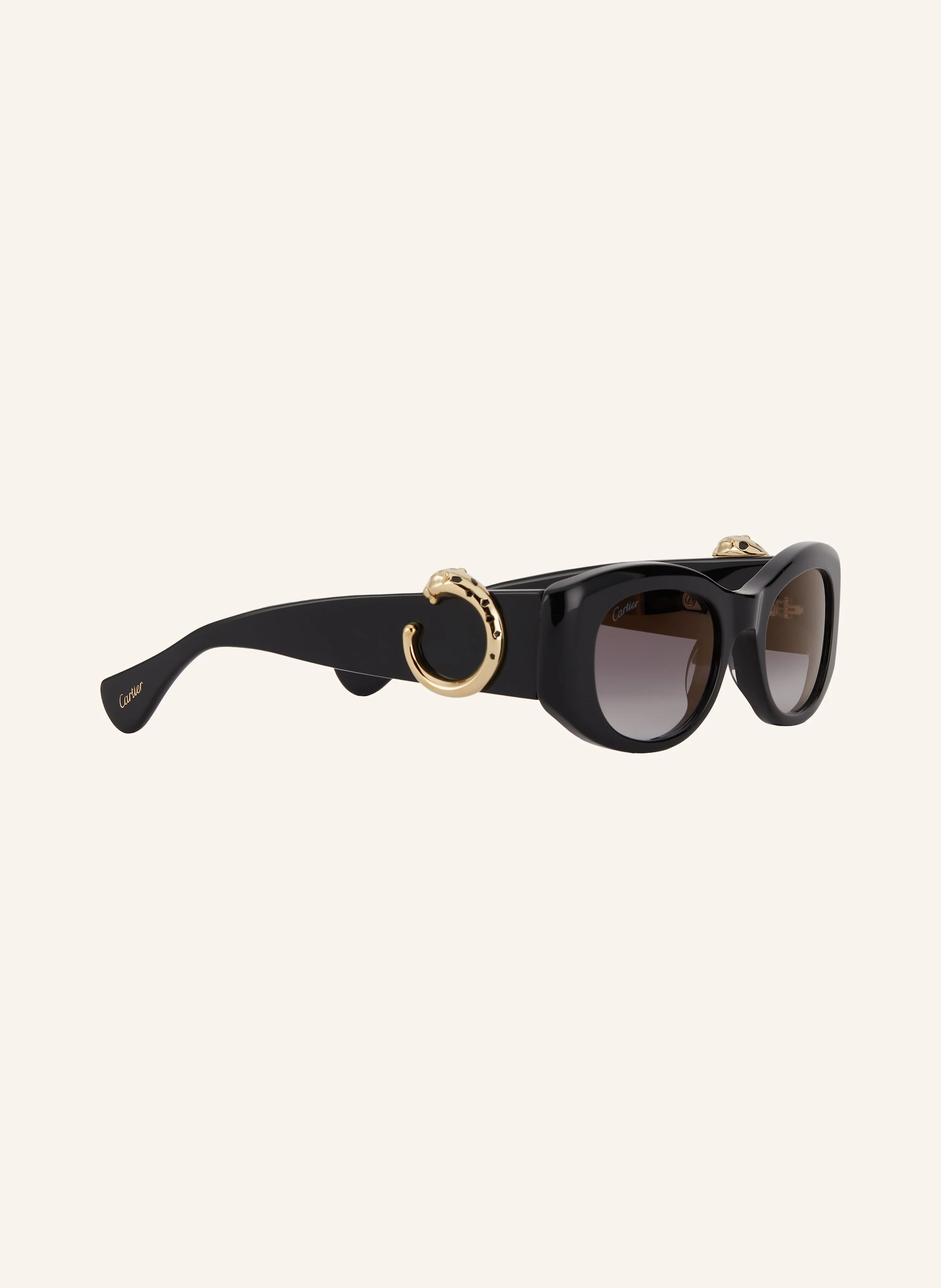 Cartier Sonnenbrille 6L001733