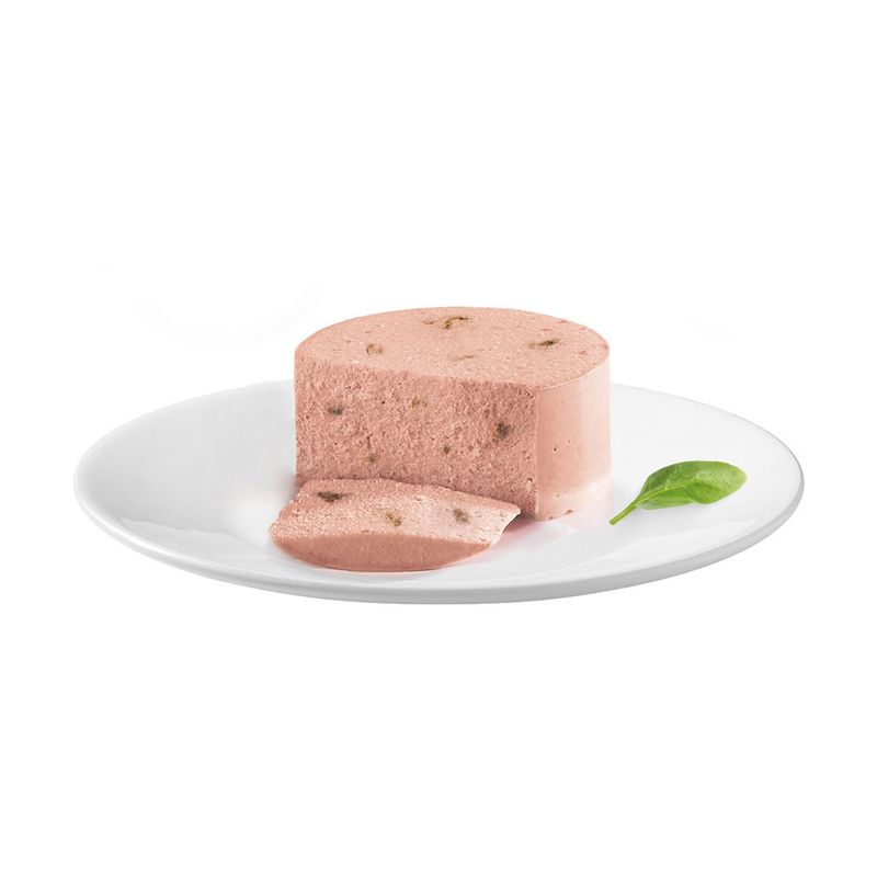 Lot 2 saveurs Gourmet Nature's Creation Mousse