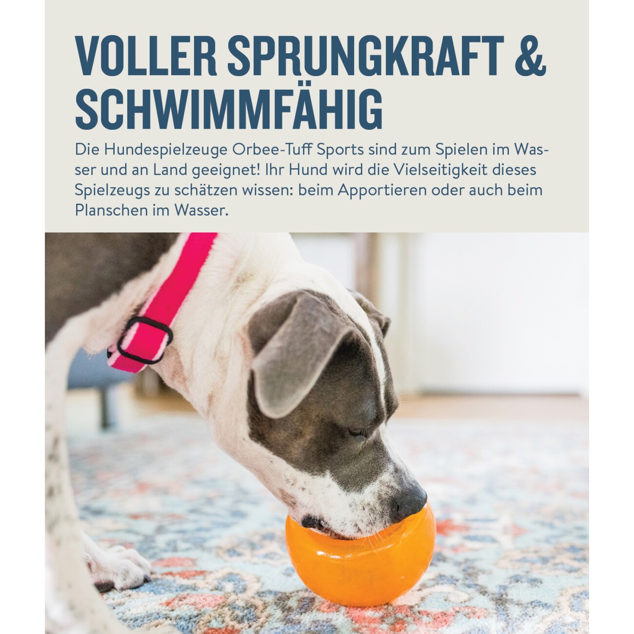 Planet Dog Snoop Hundespielzeug