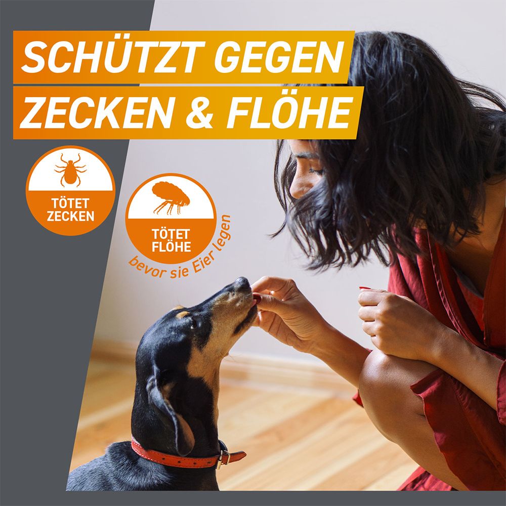 FRONTPRO® Kautablette gegen Zecken und Flöhe für Hunde (>4-10kg)