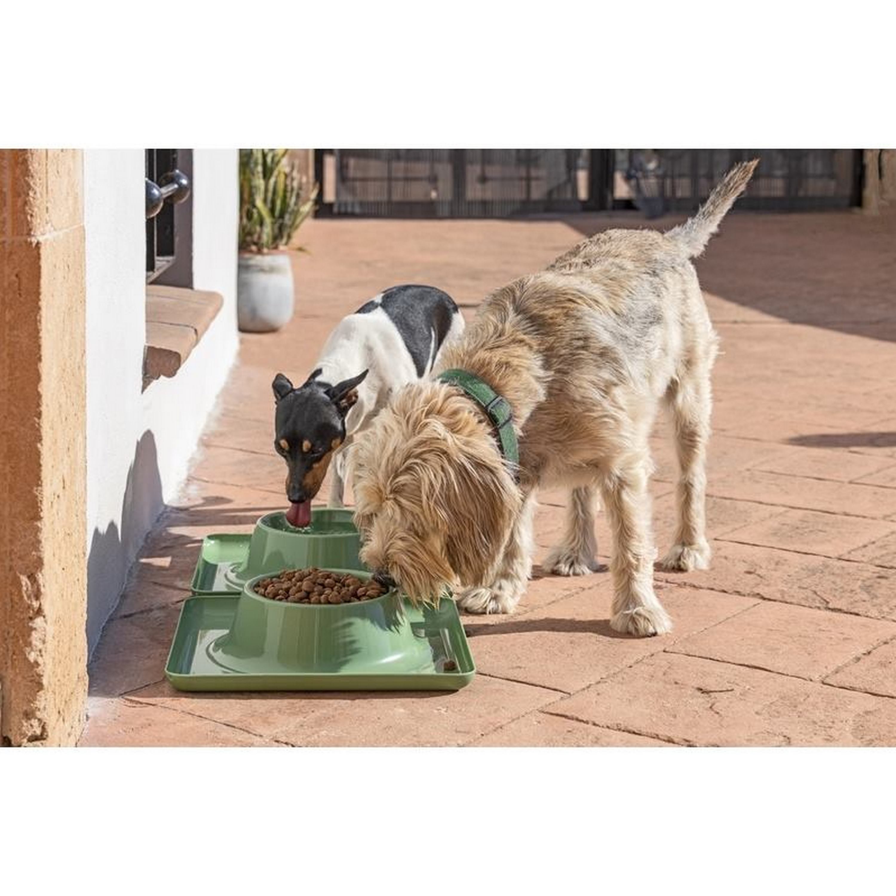 Alimentador grande para animais de estimação do Pets Club