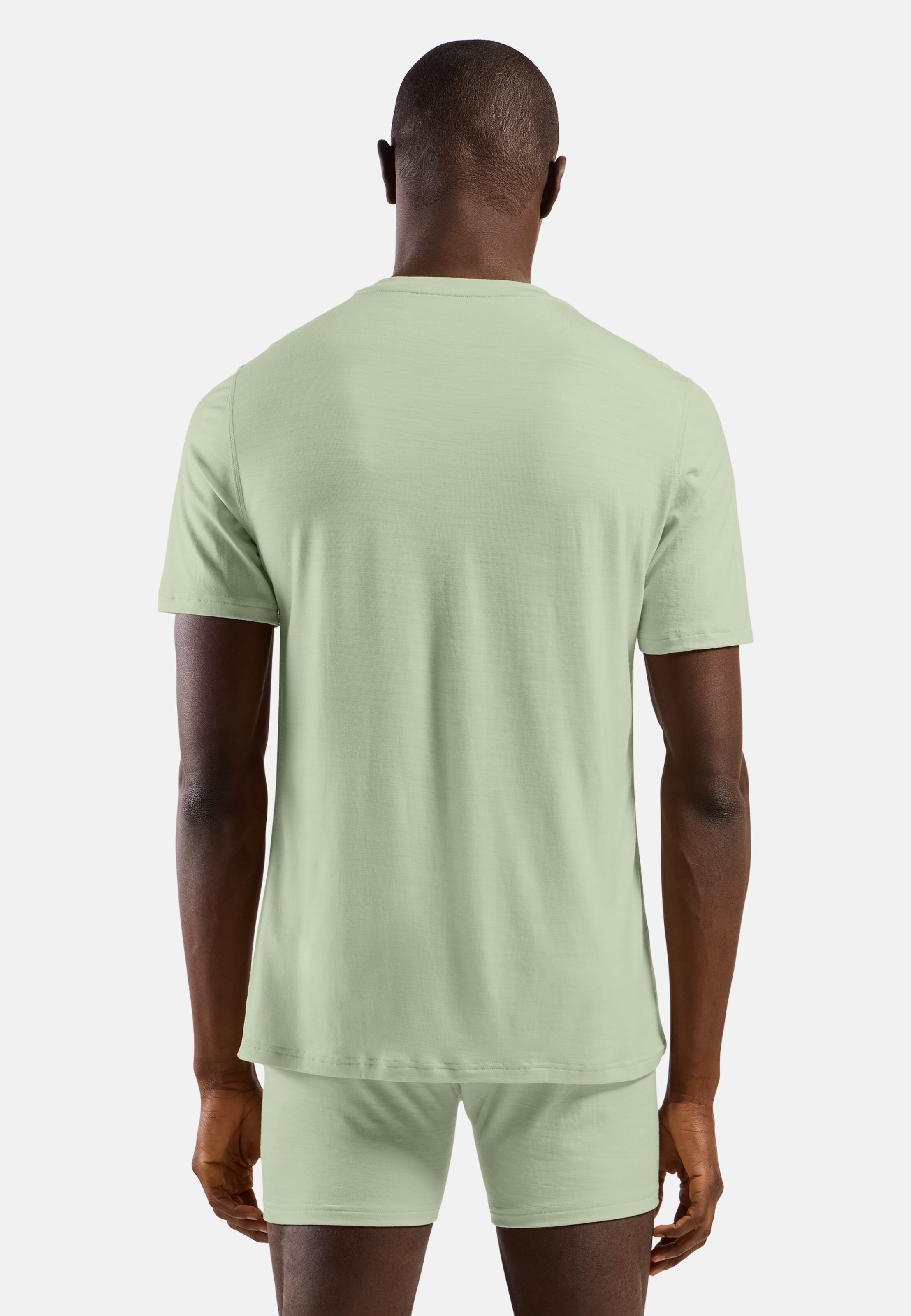 Natural Merino 160 Base Layer T-shirt in ambrosia