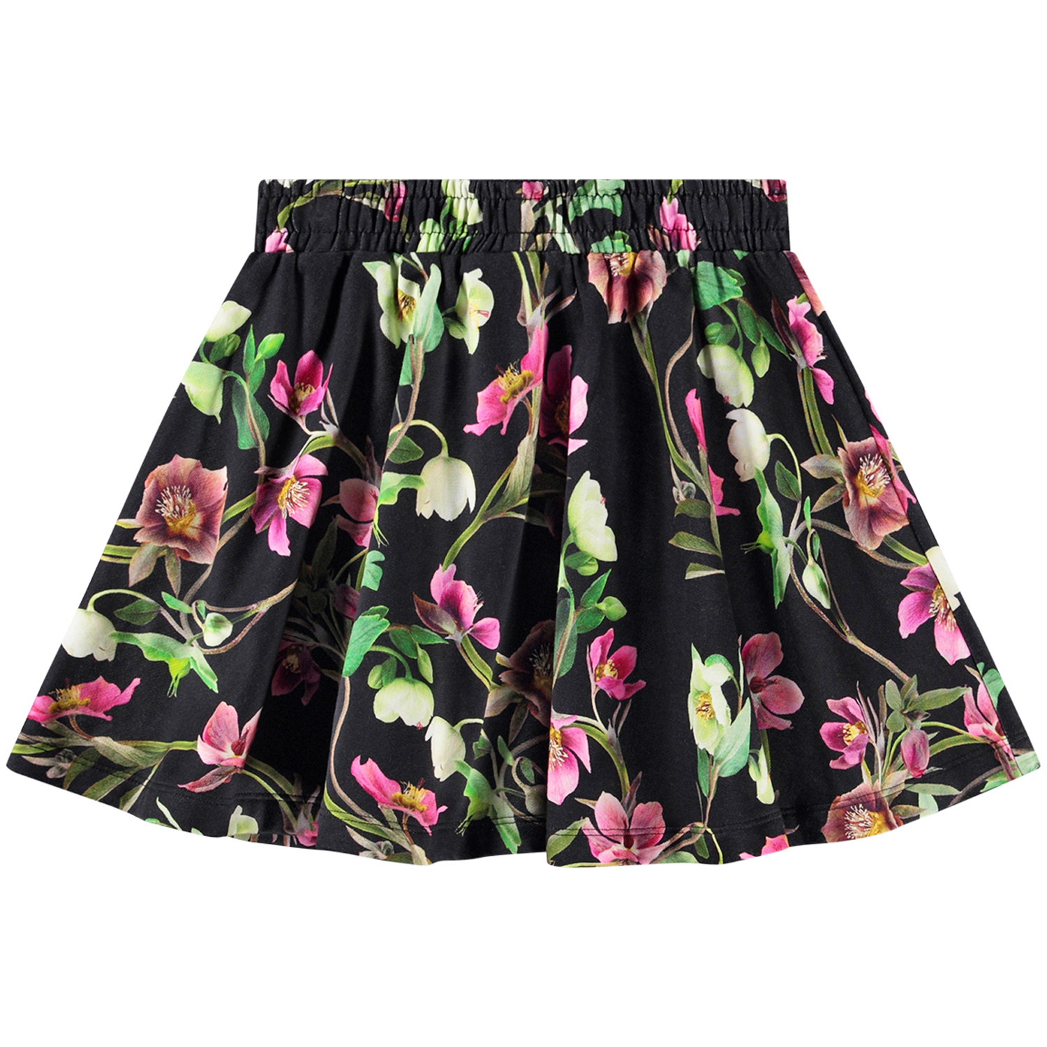 Barbera - Hellebore Black