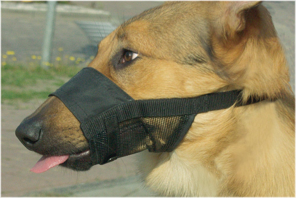 Beeztees muilband Comfort L 18-24 cm