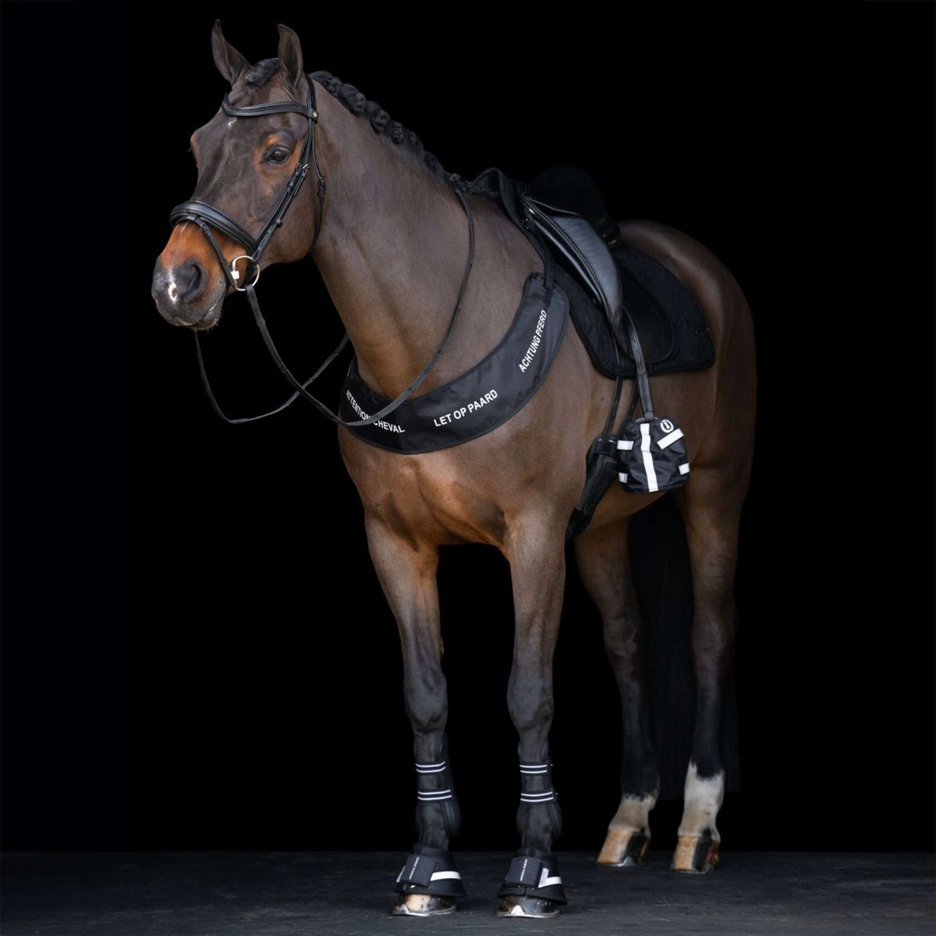Imperial Riding Springschoenen IRHReflective Zwart