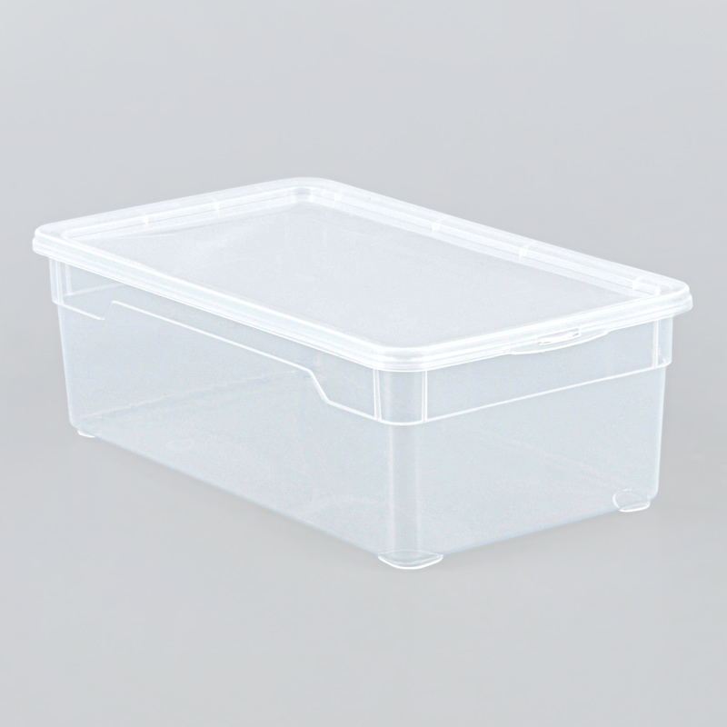 Lot de 4 boites à chaussures 'Clear Box'
