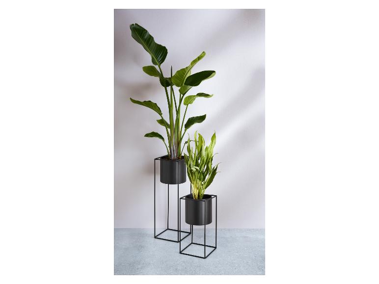 Bloempotset met standaard