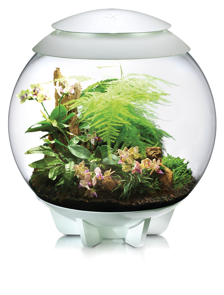biOrb Air 30 Wit | Plantenterrarium