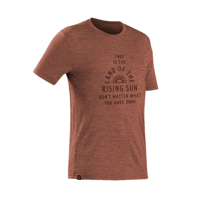 Decathlon Forclaz - Camiseta Forclaz Masculina de Viagem em Lã Merino 500