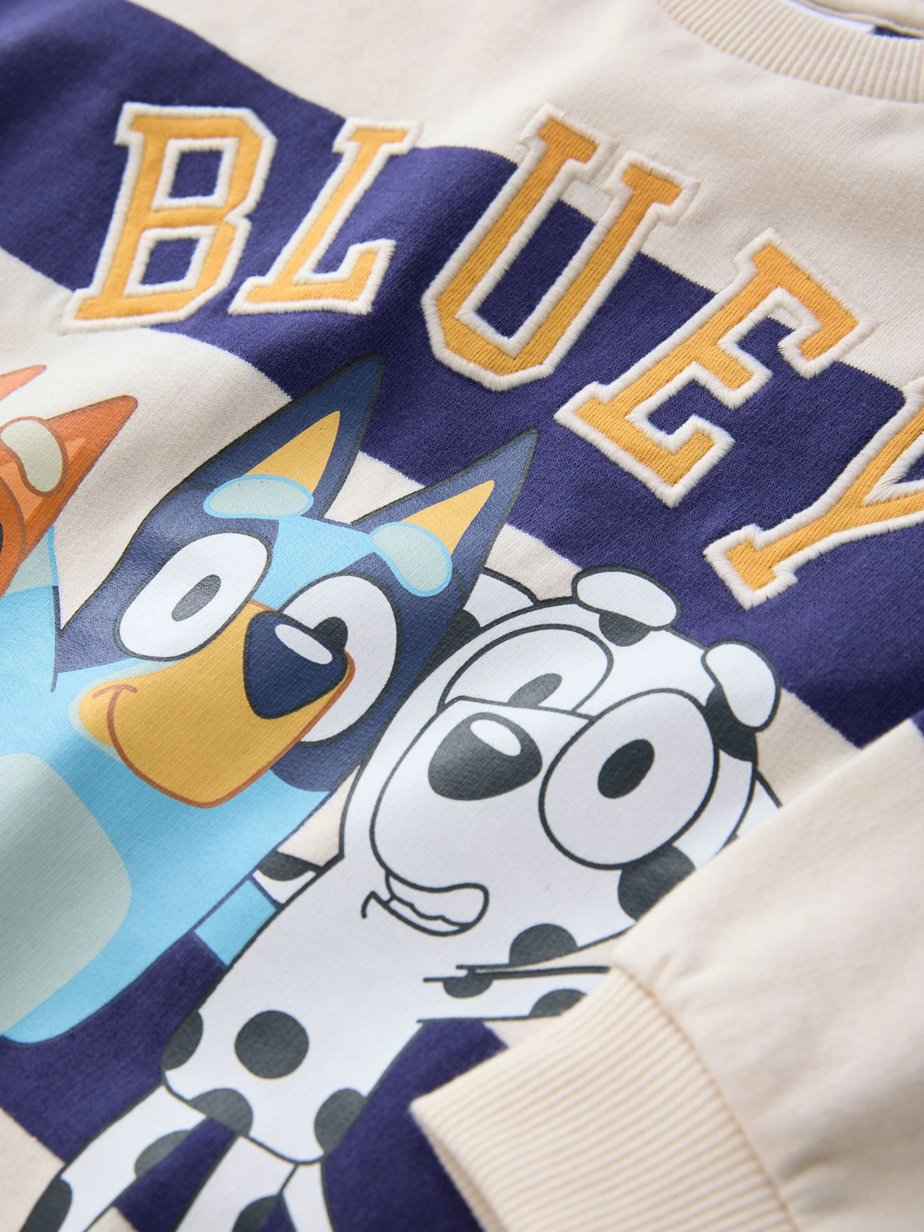 Wit/blauw gestreept - Bluey sweatshirt van katoen met ronde hals (12mnd -8jr)