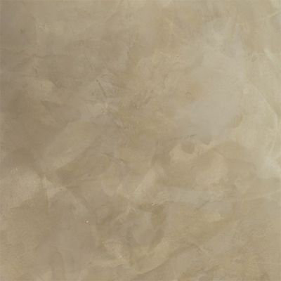 Peinture à effet smoothie Biscuit Tollens 2kg