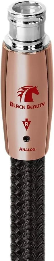 Audioquest Black Beauty XLR (2 x 5 m) Câbles symétriques XLR
