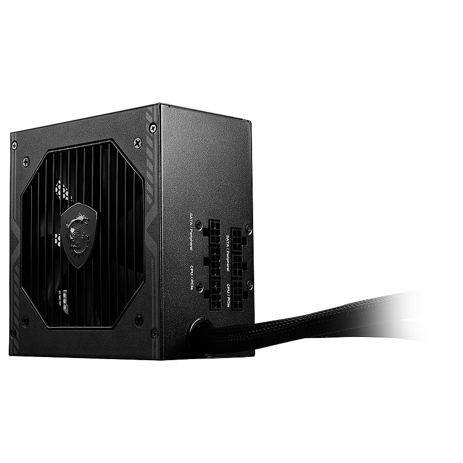 MSI MAG A750BE