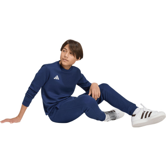 adidas Entrada 26 Sweat Trainingspak Kids