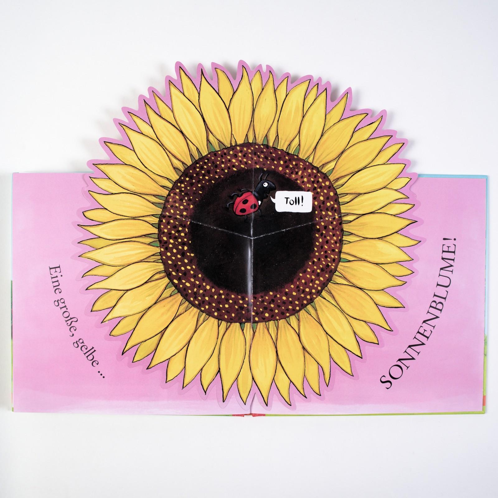 Sam pflanzt Sonnenblumen
