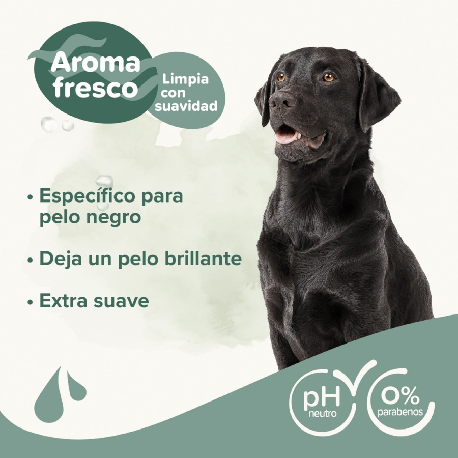 Shampoo Beaphar Black Hair para cães