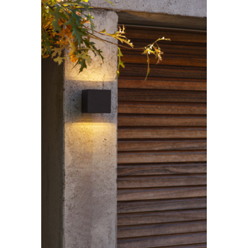 Lutec buitenlamp Gemini zwart