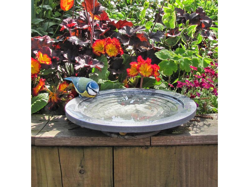 Wildlife World Vogeltränke Oasis 30 x 30 x 5.5 cm Wasserstelle für Wildtiere